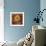 Topaze Opus Iceland Poppy-Albert Koetsier-Framed Premium Giclee Print displayed on a wall
