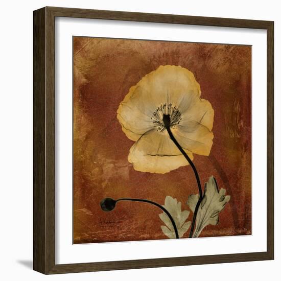 Topaze Opus Iceland Poppy-Albert Koetsier-Framed Art Print