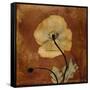 Topaze Opus Iceland Poppy-Albert Koetsier-Framed Stretched Canvas