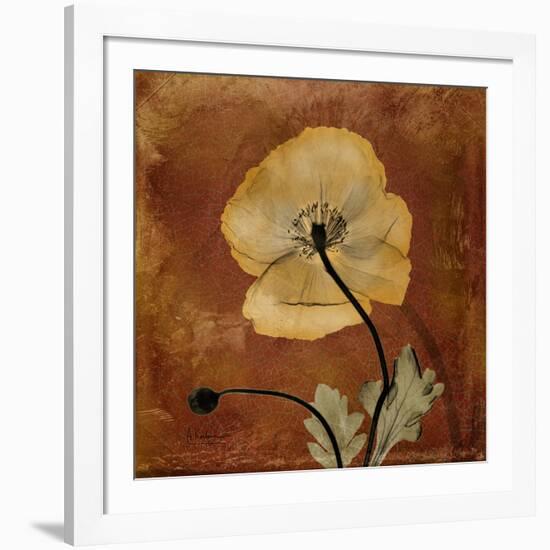 Topaze Opus Iceland Poppy-Albert Koetsier-Framed Art Print