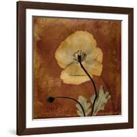 Topaze Opus Iceland Poppy-Albert Koetsier-Framed Art Print