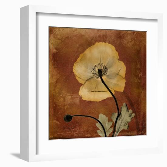 Topaze Opus Iceland Poppy-Albert Koetsier-Framed Art Print