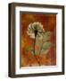 Topaze Opus Rose-Albert Koetsier-Framed Art Print