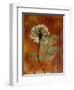 Topaze Opus Rose-Albert Koetsier-Framed Art Print