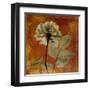 Topaze Opus Rose-Albert Koetsier-Framed Art Print