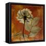 Topaze Opus Rose-Albert Koetsier-Framed Stretched Canvas