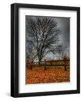 Topcat-Jim Crotty-Framed Photographic Print