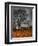 Topcat-Jim Crotty-Framed Premium Photographic Print