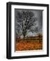 Topcat-Jim Crotty-Framed Premium Photographic Print