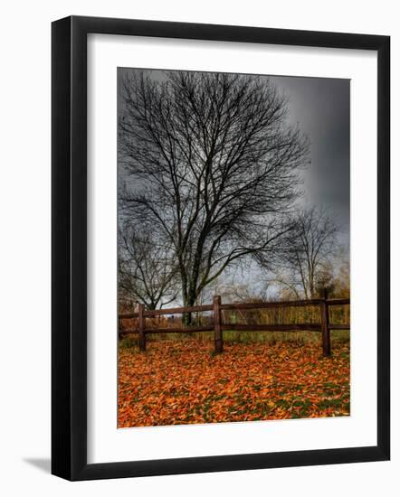 Topcat-Jim Crotty-Framed Photographic Print