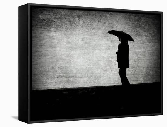 Topcube-Sharon Wish-Framed Stretched Canvas