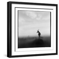 Topi Antelope, Masai Mara Game Reserve, Kenya-Paul Souders-Framed Photographic Print