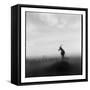 Topi Antelope, Masai Mara Game Reserve, Kenya-Paul Souders-Framed Stretched Canvas