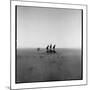 Topi Antelope, Masai Mara Game Reserve, Kenya-Paul Souders-Mounted Photographic Print