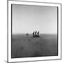 Topi Antelope, Masai Mara Game Reserve, Kenya-Paul Souders-Mounted Photographic Print