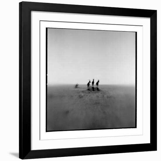 Topi Antelope, Masai Mara Game Reserve, Kenya-Paul Souders-Framed Photographic Print