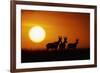 Topi Antelope Silhouettes at Sunrise-Paul Souders-Framed Photographic Print