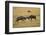 Topi Fight-Joe McDonald-Framed Photographic Print