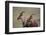 Topi on the Savanna-DLILLC-Framed Photographic Print