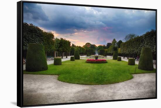 Topiari Shrubs in Schonbrunn Palace Garden-George Oze-Framed Stretched Canvas