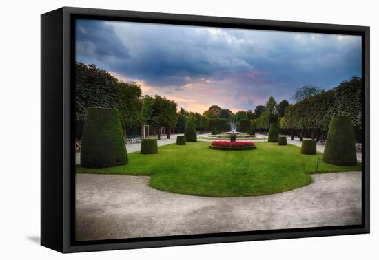 Topiari Shrubs in Schonbrunn Palace Garden-George Oze-Framed Stretched Canvas