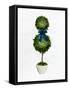 Topiaries 2-Ann Bailey-Framed Stretched Canvas