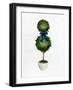 Topiaries 2-Ann Bailey-Framed Art Print