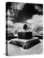 Topiary at Arley Hall, Cheshire, England-Simon Marsden-Stretched Canvas