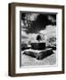 Topiary at Arley Hall, Cheshire, England-Simon Marsden-Framed Giclee Print