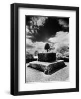 Topiary at Arley Hall, Cheshire, England-Simon Marsden-Framed Giclee Print