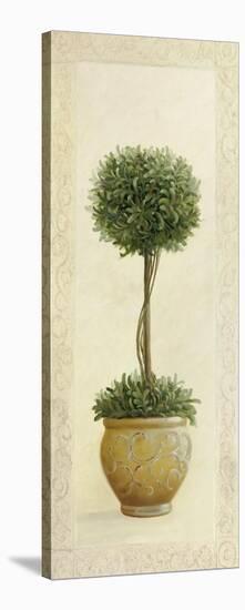 Topiary Ball I-Welby-Stretched Canvas