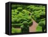 Topiary Garden at Chateau de Marqueyssac-David Burton-Framed Stretched Canvas