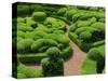 Topiary Garden at Chateau de Marqueyssac-David Burton-Stretched Canvas