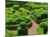 Topiary Garden at Chateau de Marqueyssac-David Burton-Mounted Photographic Print