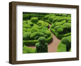 Topiary Garden at Chateau de Marqueyssac-David Burton-Framed Photographic Print