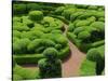 Topiary Garden at Chateau de Marqueyssac-David Burton-Stretched Canvas