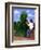 Topiary Kiss-Larry Smart-Framed Giclee Print