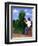 Topiary Kiss-Larry Smart-Framed Giclee Print