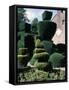 Topiary, Levens Hall, Cumbria, England, United Kingdom-Adam Woolfitt-Framed Stretched Canvas