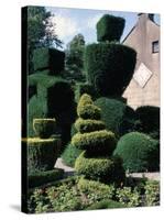 Topiary, Levens Hall, Cumbria, England, United Kingdom-Adam Woolfitt-Stretched Canvas