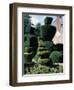 Topiary, Levens Hall, Cumbria, England, United Kingdom-Adam Woolfitt-Framed Photographic Print