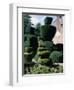 Topiary, Levens Hall, Cumbria, England, United Kingdom-Adam Woolfitt-Framed Photographic Print