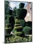 Topiary, Levens Hall, Cumbria, England, United Kingdom-Adam Woolfitt-Mounted Photographic Print