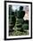 Topiary, Levens Hall, Cumbria, England, United Kingdom-Adam Woolfitt-Framed Photographic Print