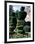 Topiary, Levens Hall, Cumbria, England, United Kingdom-Adam Woolfitt-Framed Photographic Print