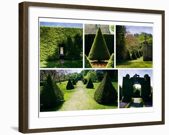 Topiary-Pete Kelly-Framed Giclee Print