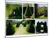 Topiary-Pete Kelly-Mounted Giclee Print