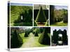 Topiary-Pete Kelly-Stretched Canvas