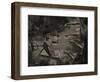 Topicworks-Fabio Panichi-Framed Photographic Print