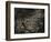 Topicworks-Fabio Panichi-Framed Photographic Print